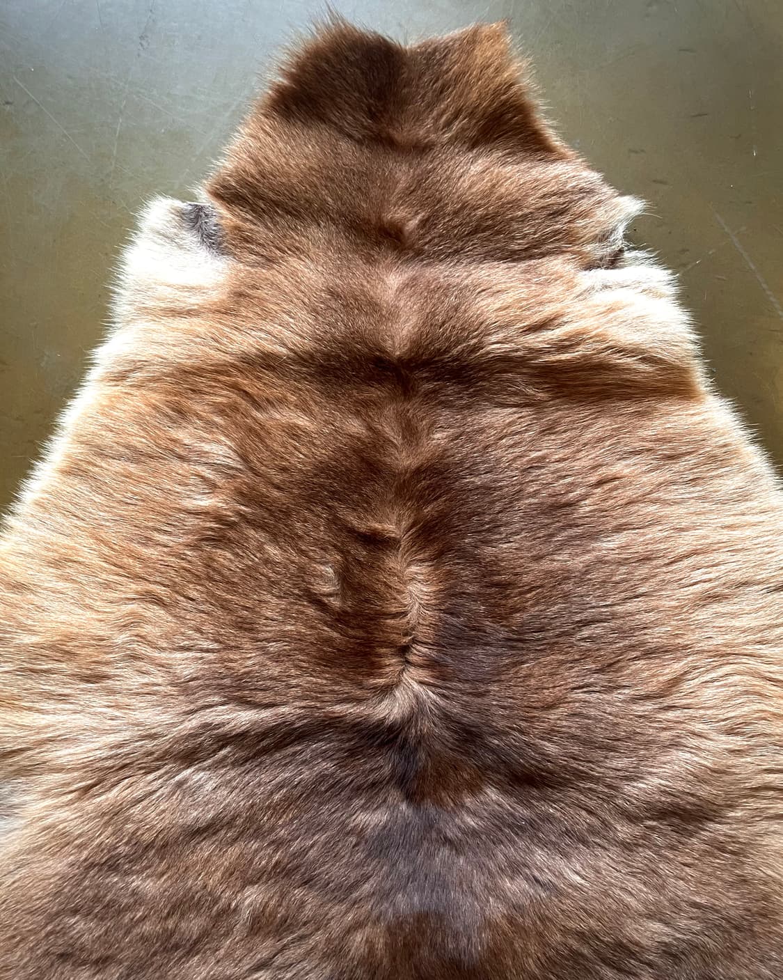 (A)2000s Australian Kangaroo Skin Carpet 상품이미지4