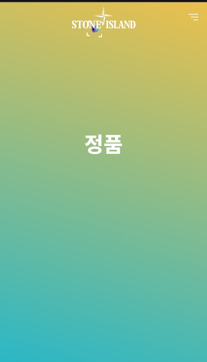 스톤아일랜드 크링클랩스패딩 XL 상품이미지4