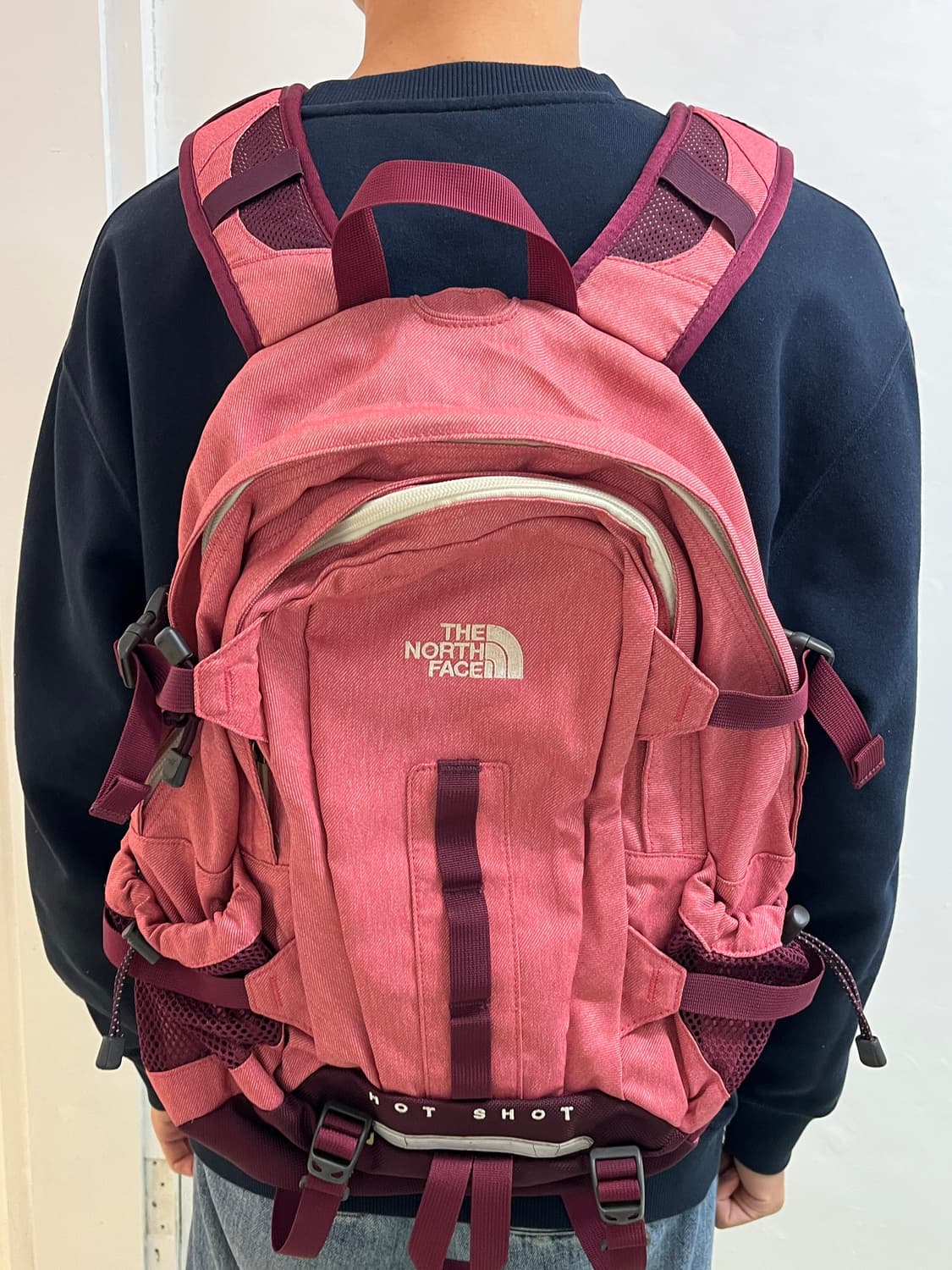 노스페이스 HOT SHOT 핑크 백팩 🎀 상품이미지9
