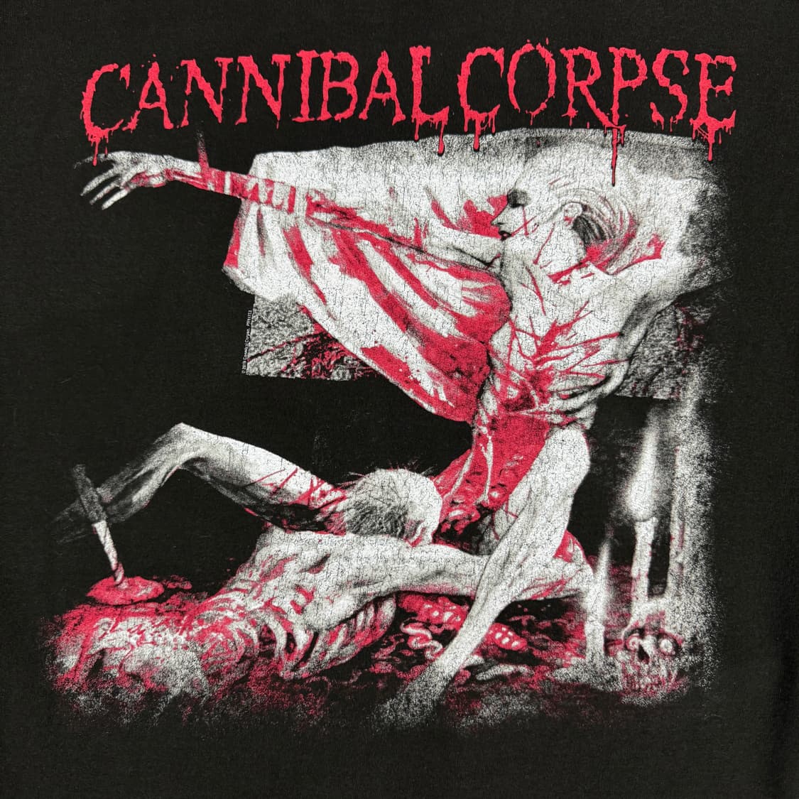 빈티지 90s Cannibal Corpse 카니발콥스 후드티 상품이미지4