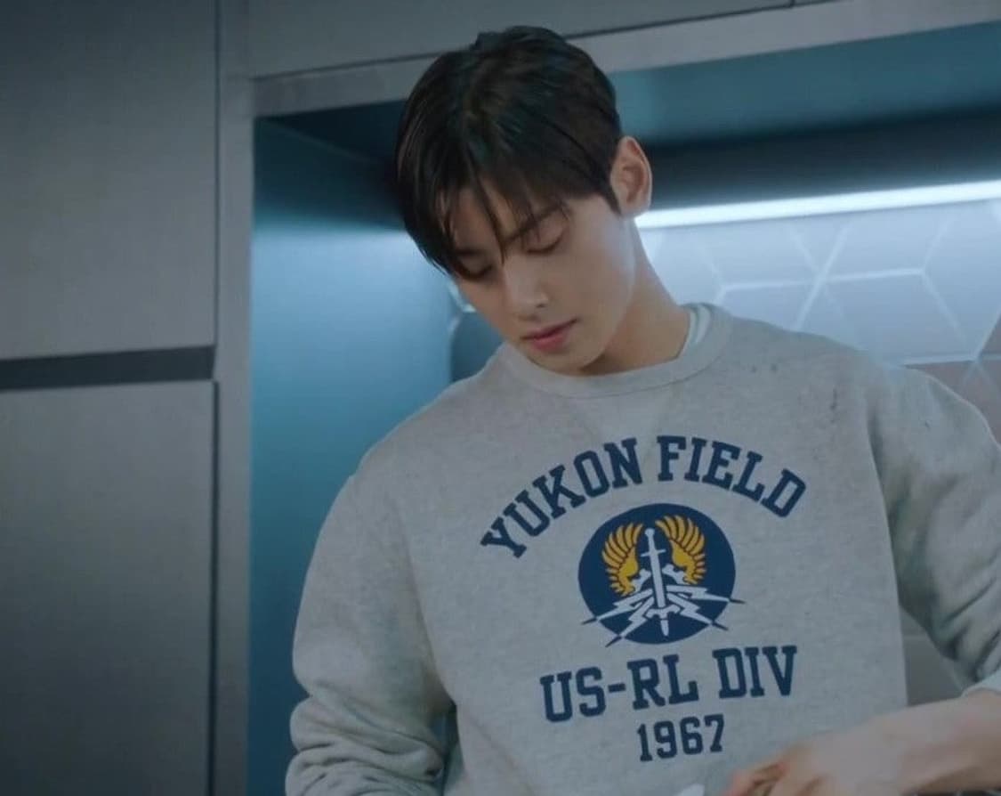 폴로 랄프로렌 유콘 필드 맨투맨 XL 상품이미지9