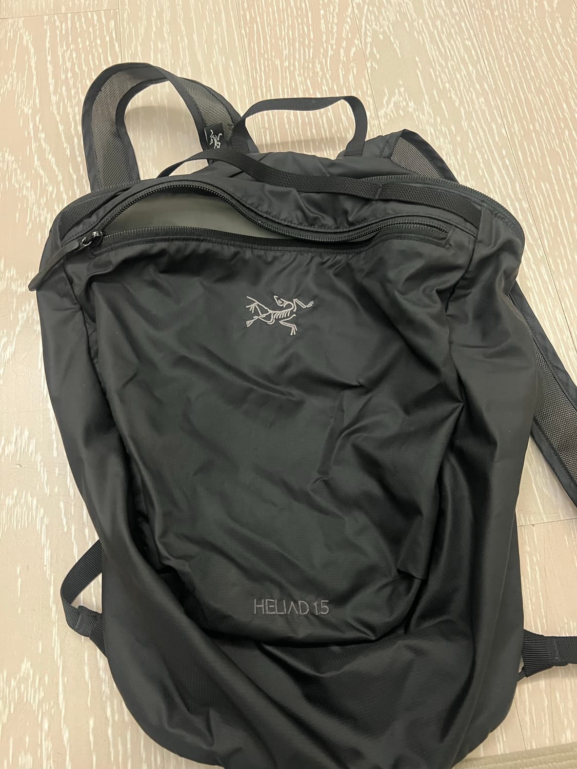 아크테릭스 헬리아드 15 검정 상품이미지1