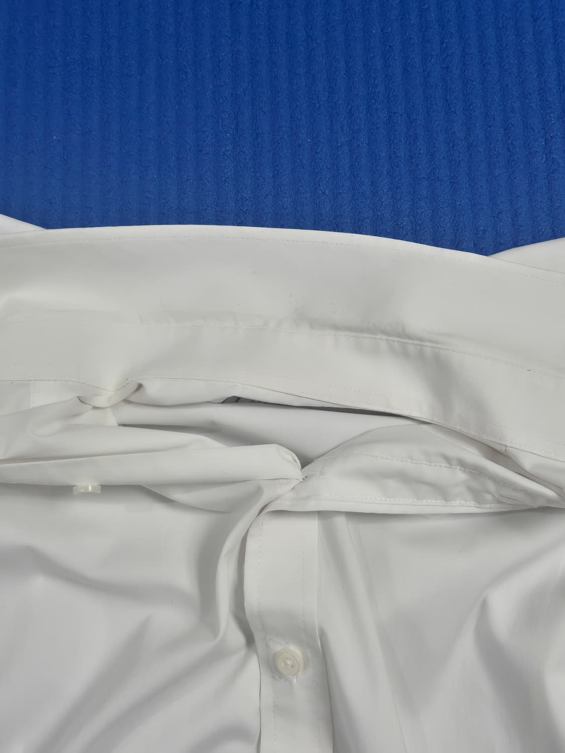 지오지아 화이트 셔츠 100 상품이미지8