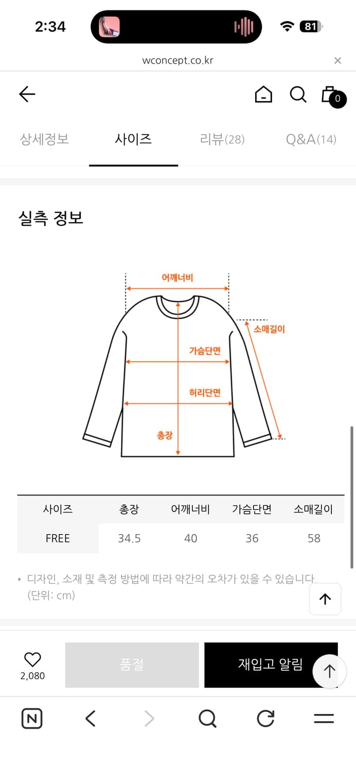 더티스 버터플라이 디테일 오프숄더 탑 아이보리 FREE 상품이미지2