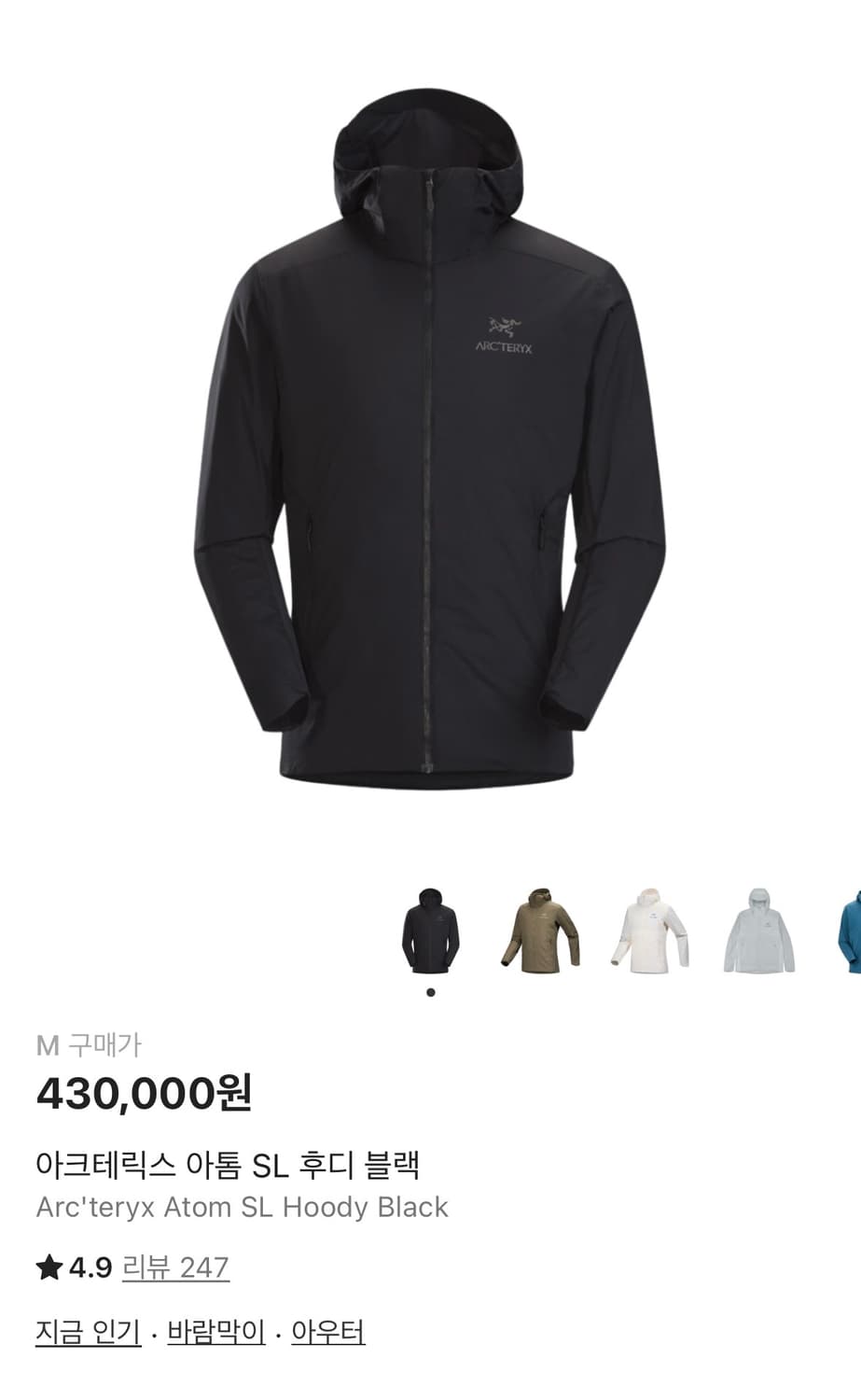 아크테릭스 아톰SL 후드 블랙 상품이미지1