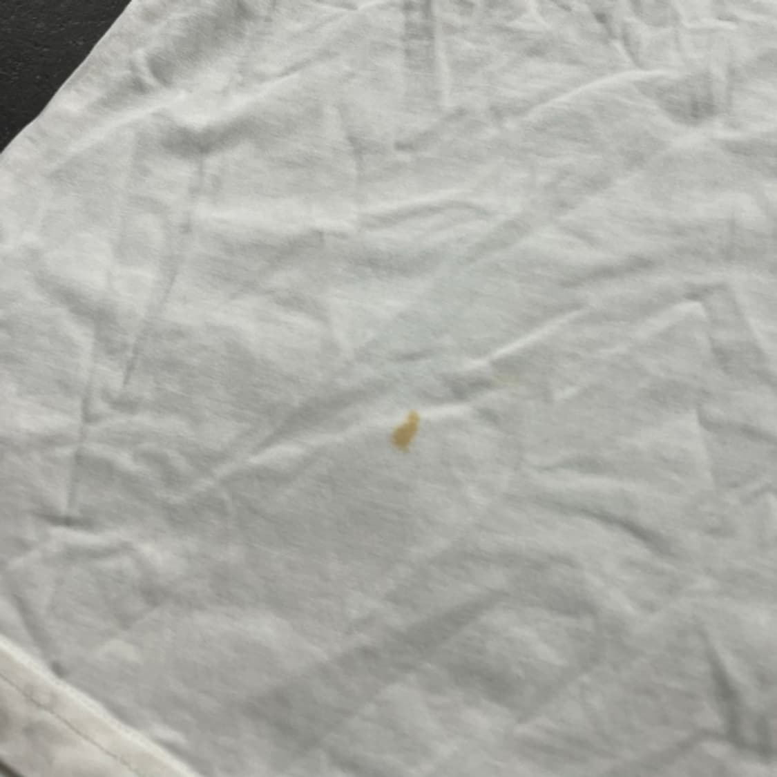 100 세터 23ss 보야지 자수 반팔티  상품이미지4