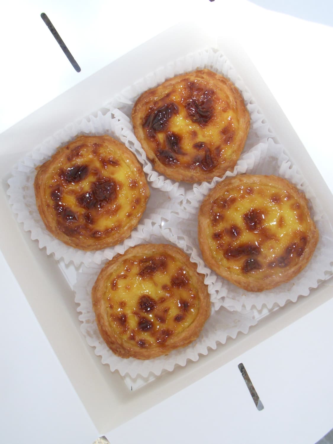 니콘 쿨픽스 s50/디지털카메라/디카 상품이미지3