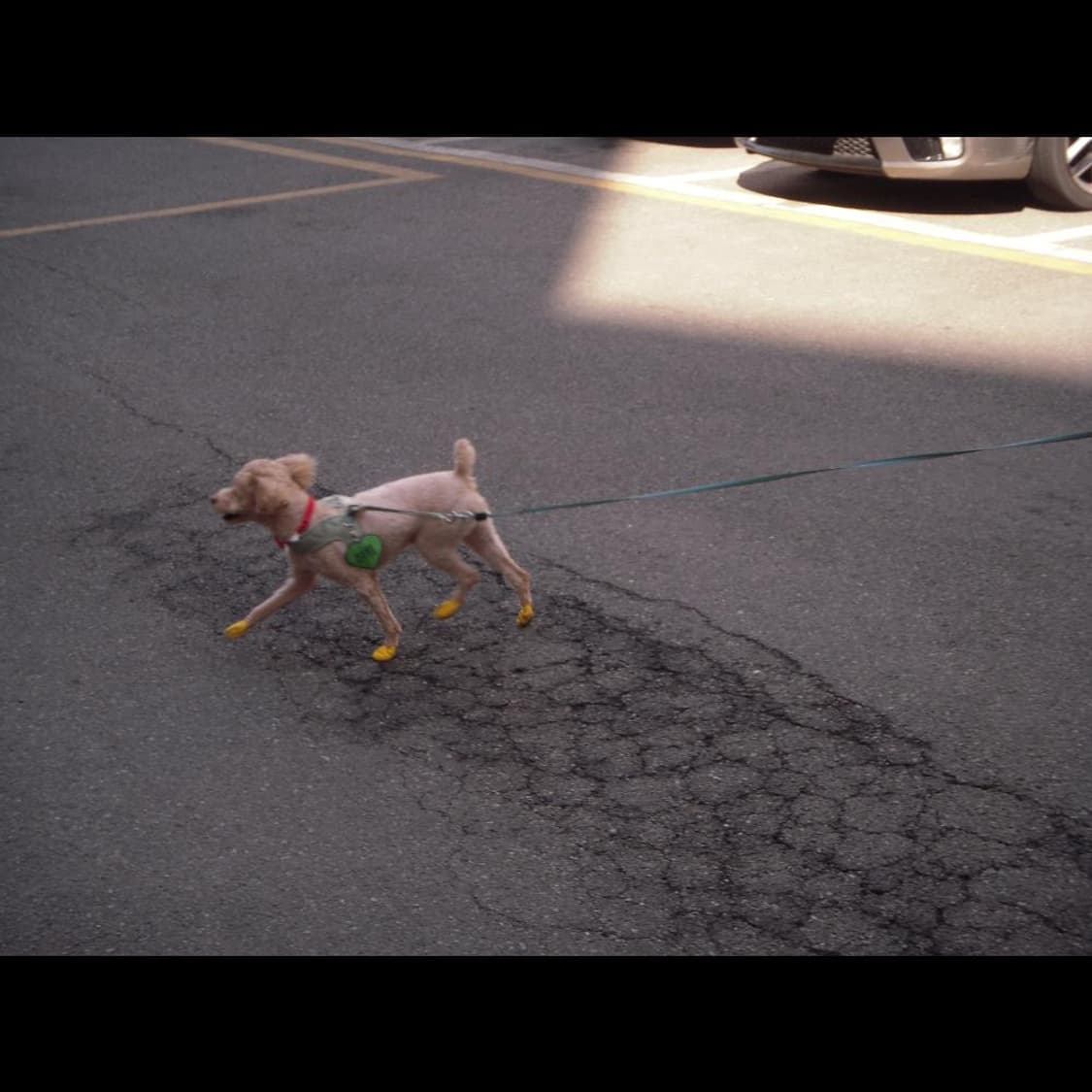 작례⭕️ 니콘 쿨픽스 S52 상품이미지2