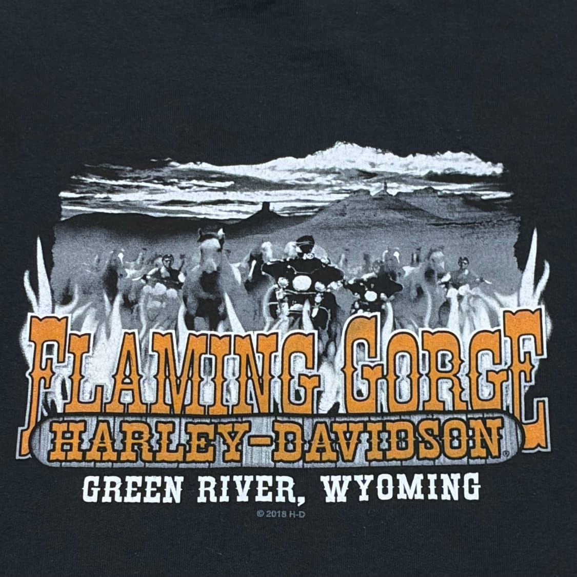 00s 미국 빈티지 할리데이비슨 후드티 후드집업 상품이미지9