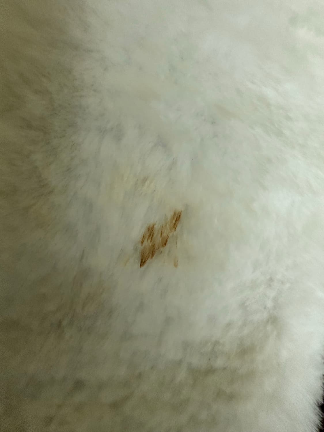 무스너클 버니스웨터 m 상품이미지3