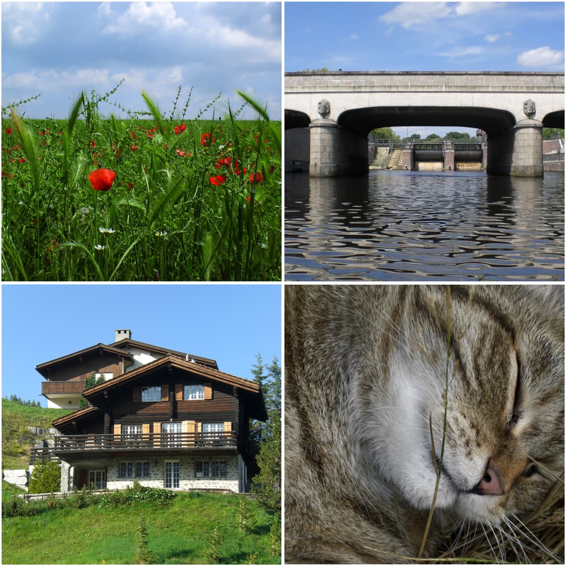 [작례 O] 카시오 엑슬림 EX-Z77 빈티지 디카 상품이미지5