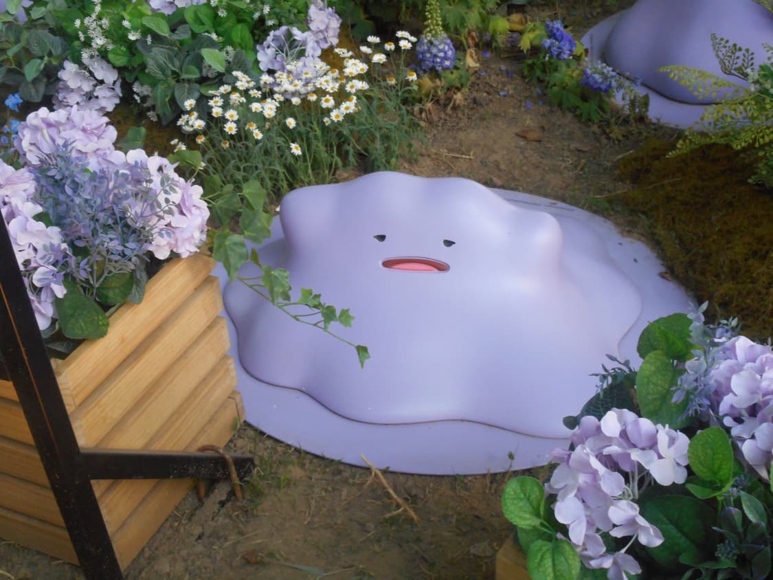 Nikon COOLPIX S3700 니콘 쿨픽스 디카 상품이미지8