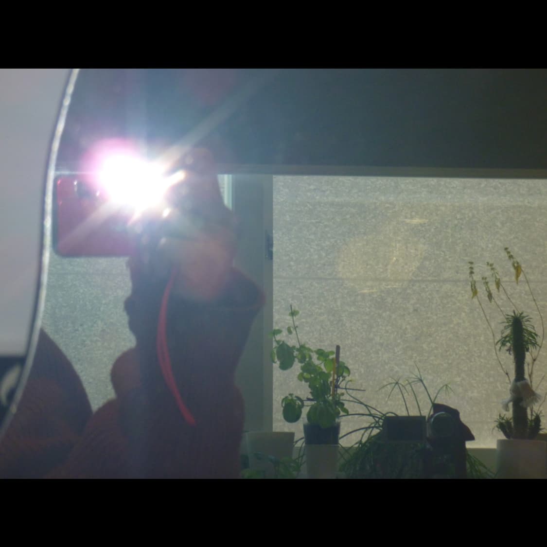 작례⭕️ 파나소닉 루믹스 DMC-FP7 상품이미지5