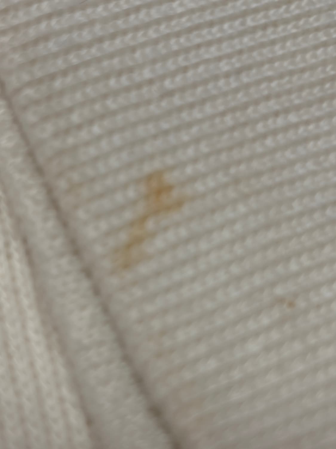 폴로 랄프로렌 반집업 상품이미지7