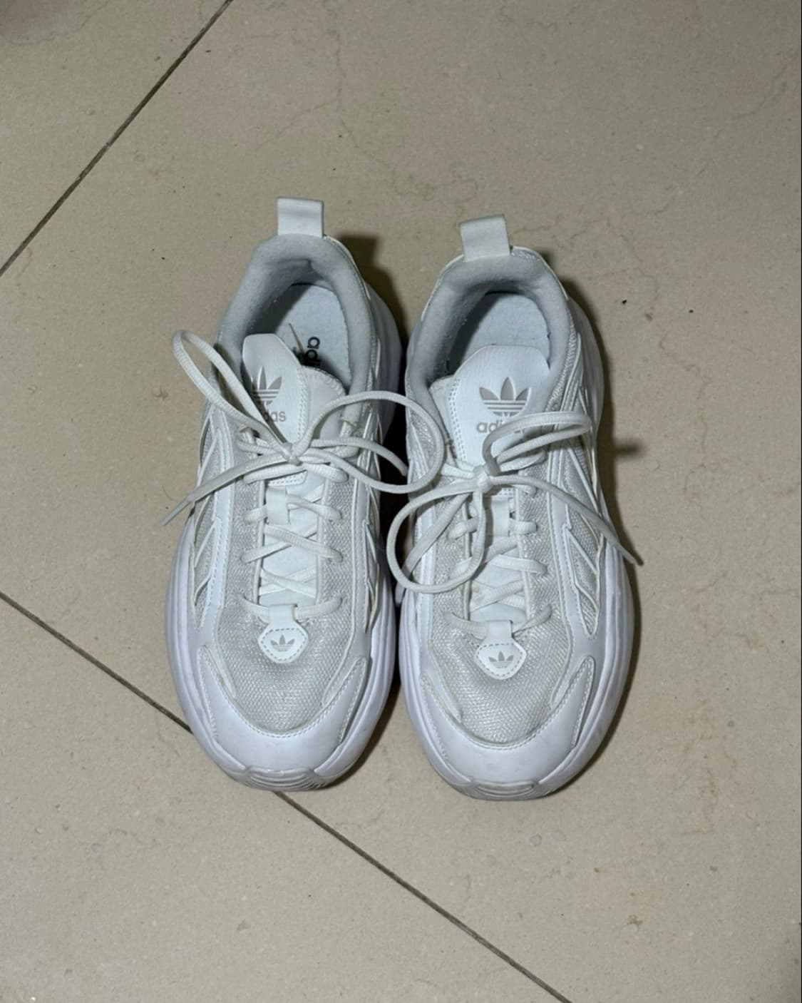 아디다스 오즈가이아 상품이미지2