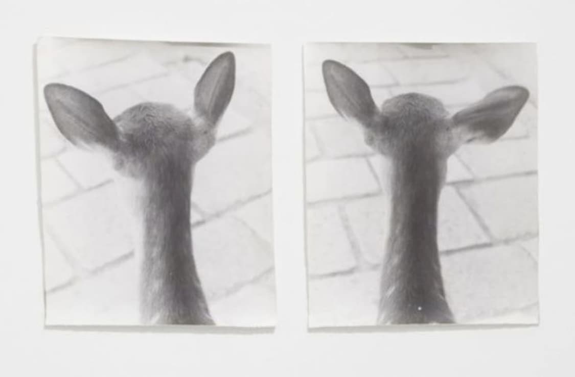 결제창 상품이미지1