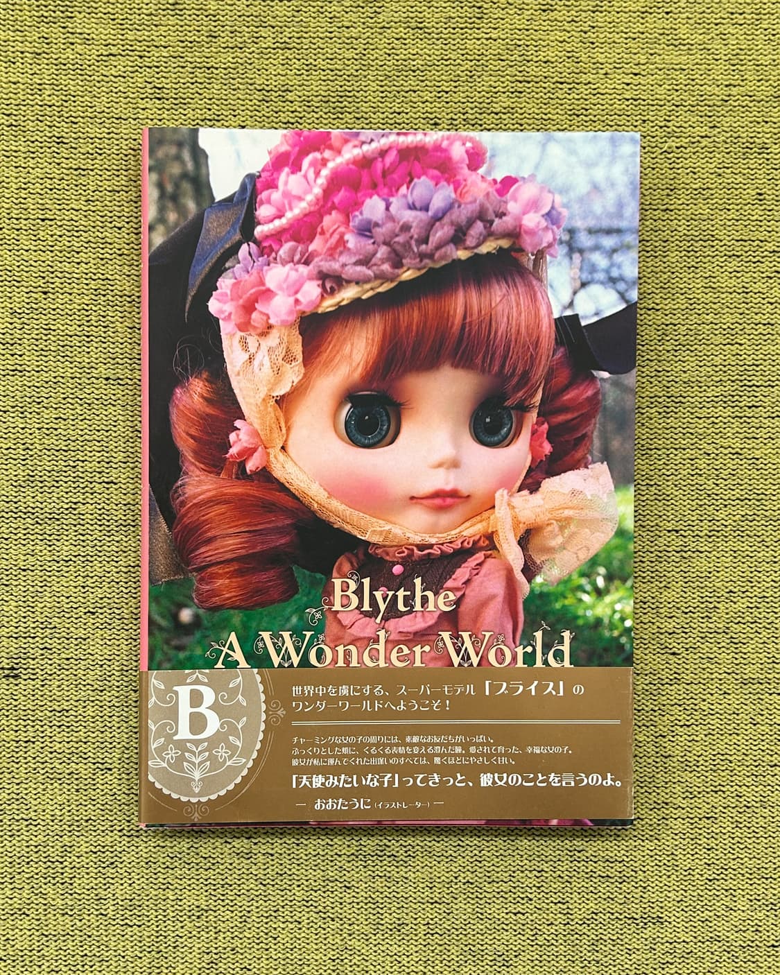 Blythe 아트북 A Wonder World 브라이스 화보집 해외서적  상품이미지1