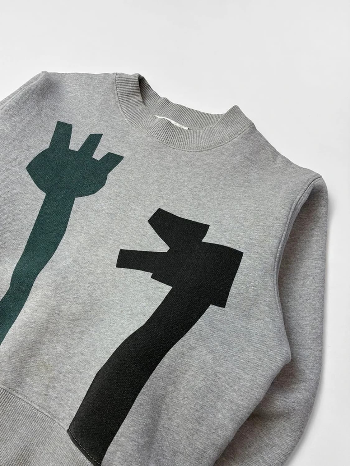 아크네스튜디오 버드 플라워 그래픽 크롭 맨투맨 PN5328 상품이미지10