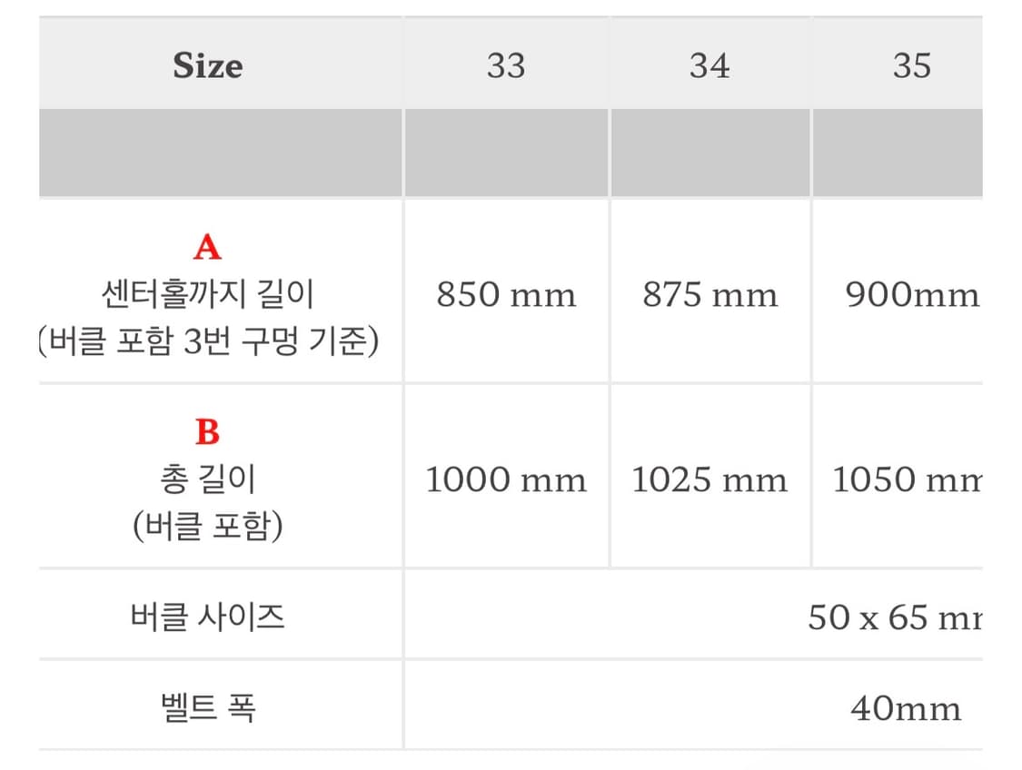 [34] 레인보우컨트리 트윈 핀 개리슨 가리송 벨트 상품이미지10