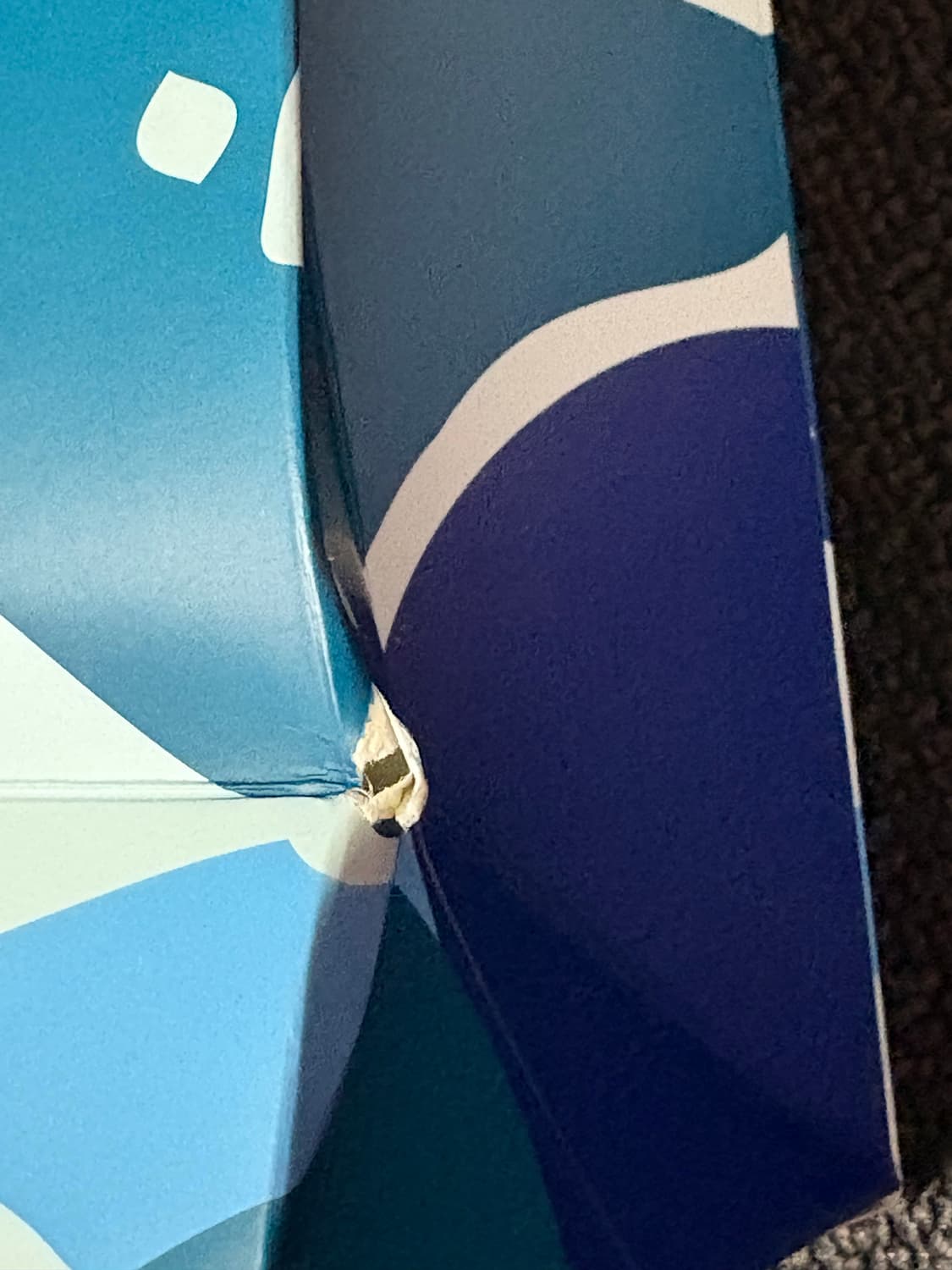 베이프 발렌시아가 파라점퍼스 쇼핑백,비닐 봉투 상품이미지3