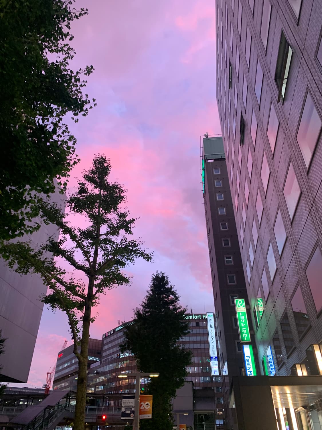 아이폰 xr 64 (작례첨부) 상품이미지10