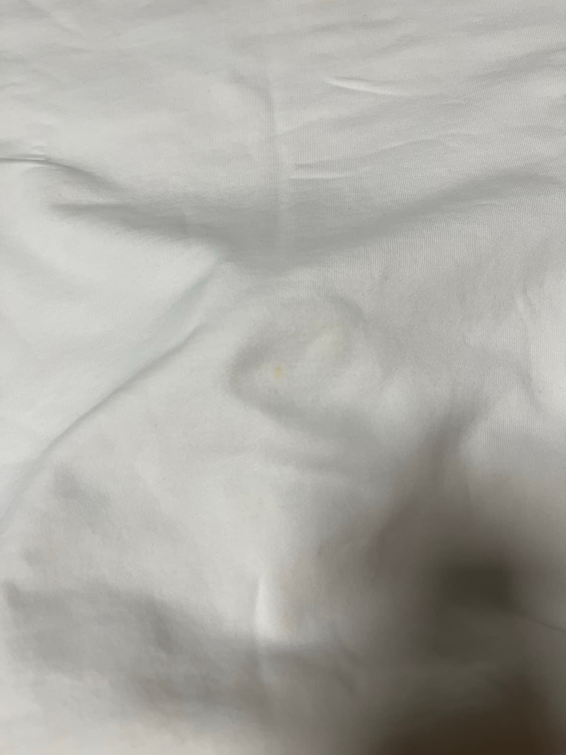 [21ss/Msize] 스톤아일랜드 고스트피스와펜 맨투맨 상품이미지6