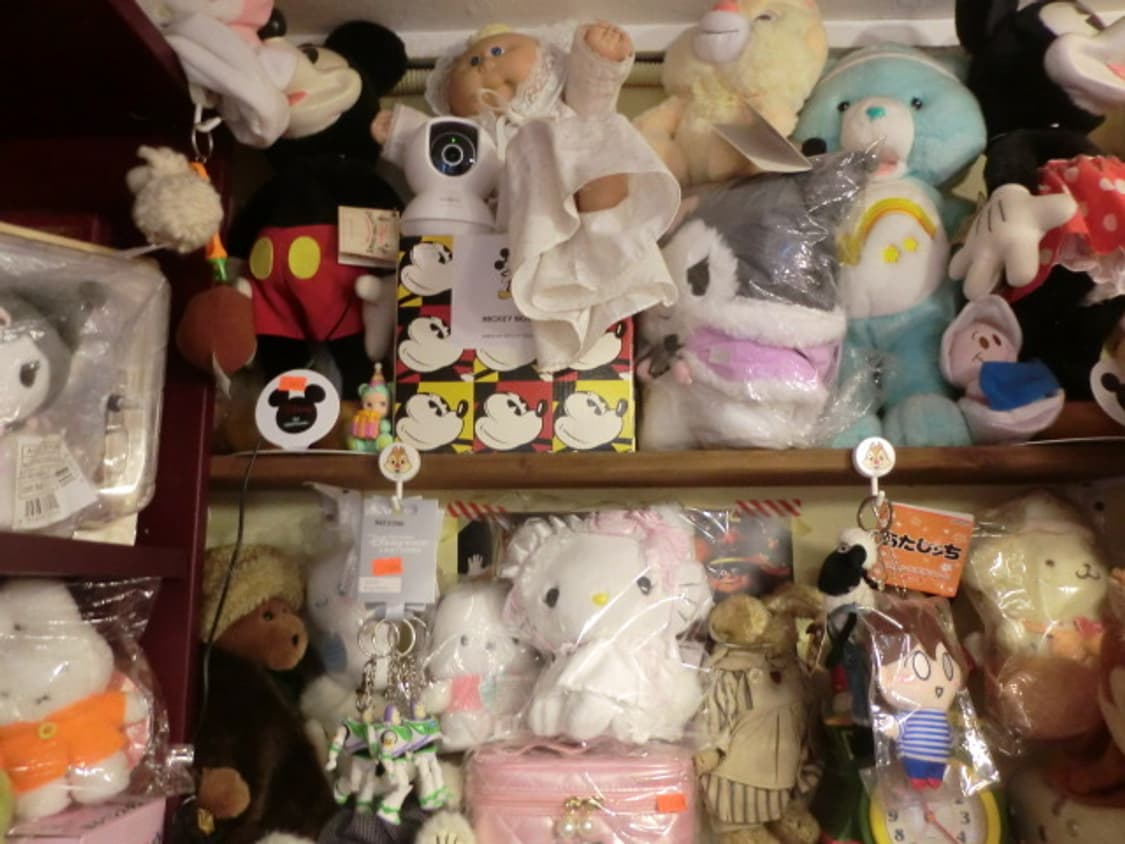 카시오 엑슬림 z800 상품이미지8