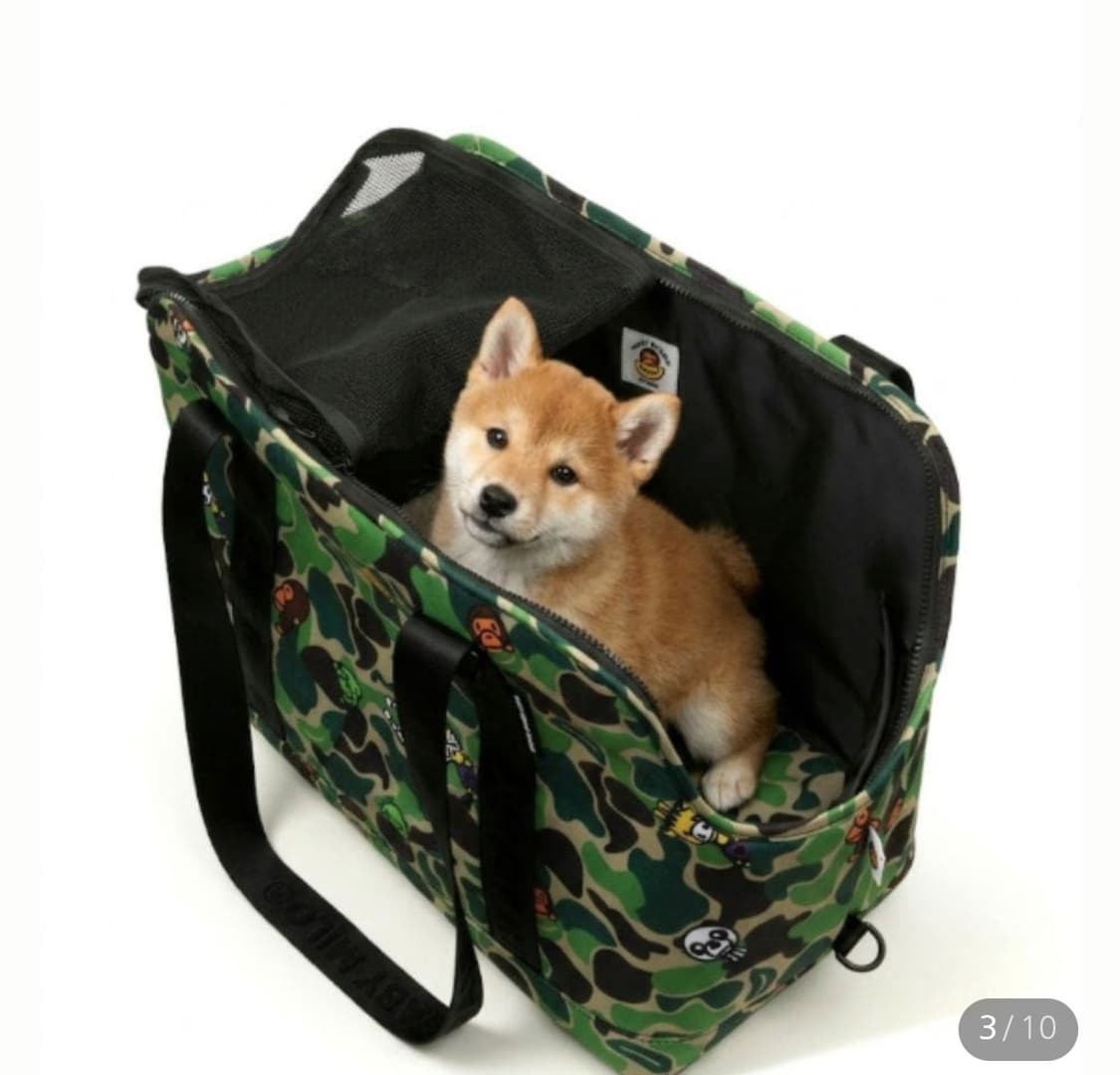 베이프 펫 캐리어 강아지 이동가방 베이프 abc 마일로 상품이미지1