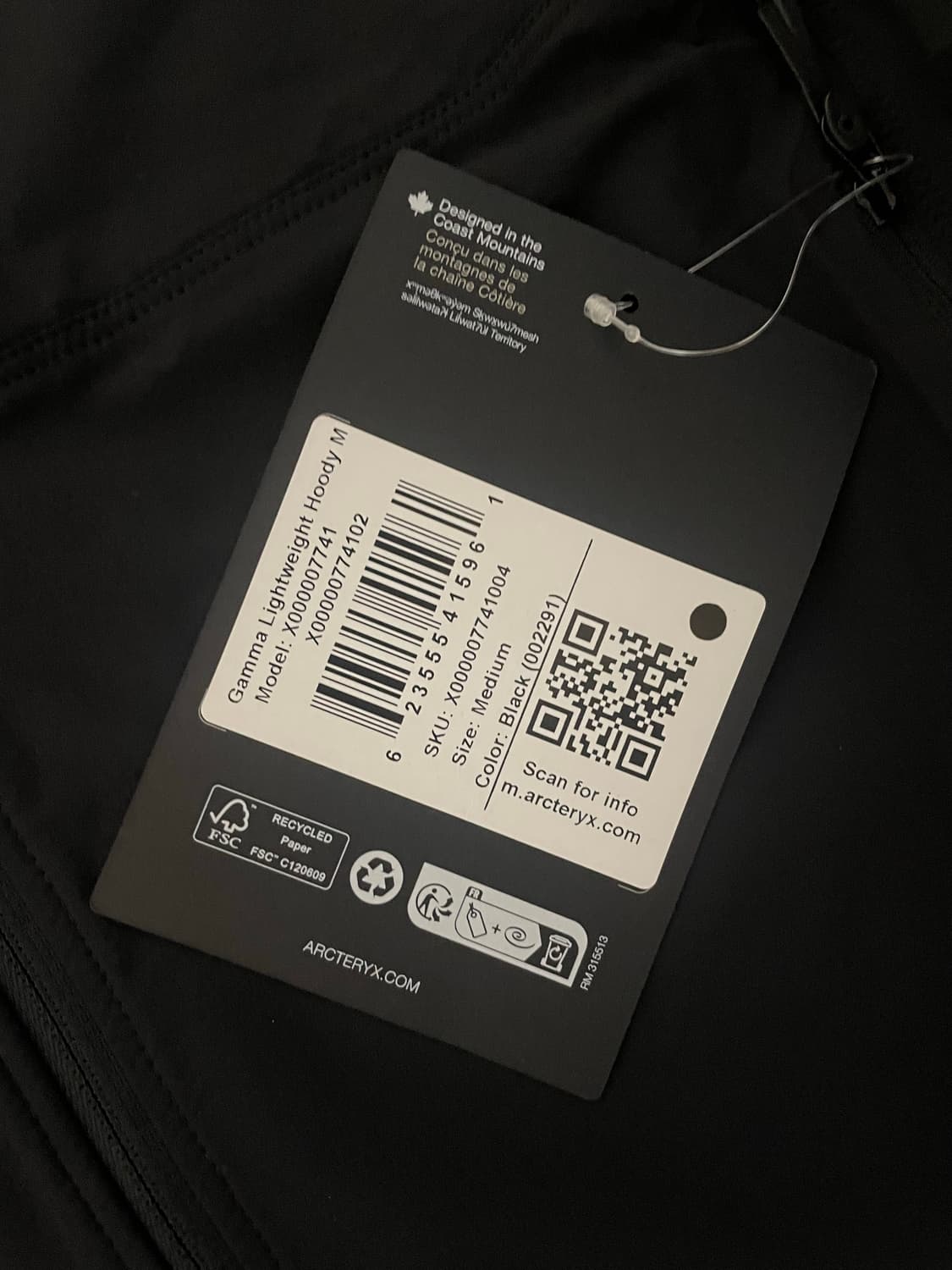 아크테릭스 감마 라이트웨이트 후디 상품이미지3