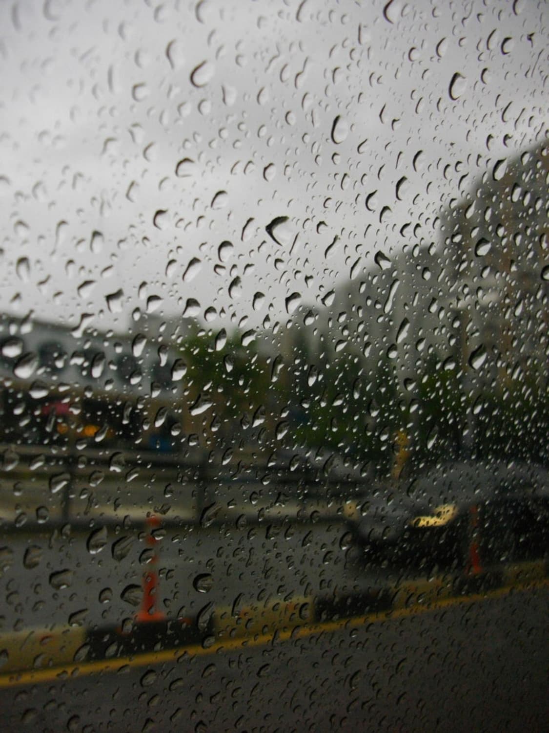 풀박스) Pentax optio e80 빈티지 카메라 작례 O 상품이미지9