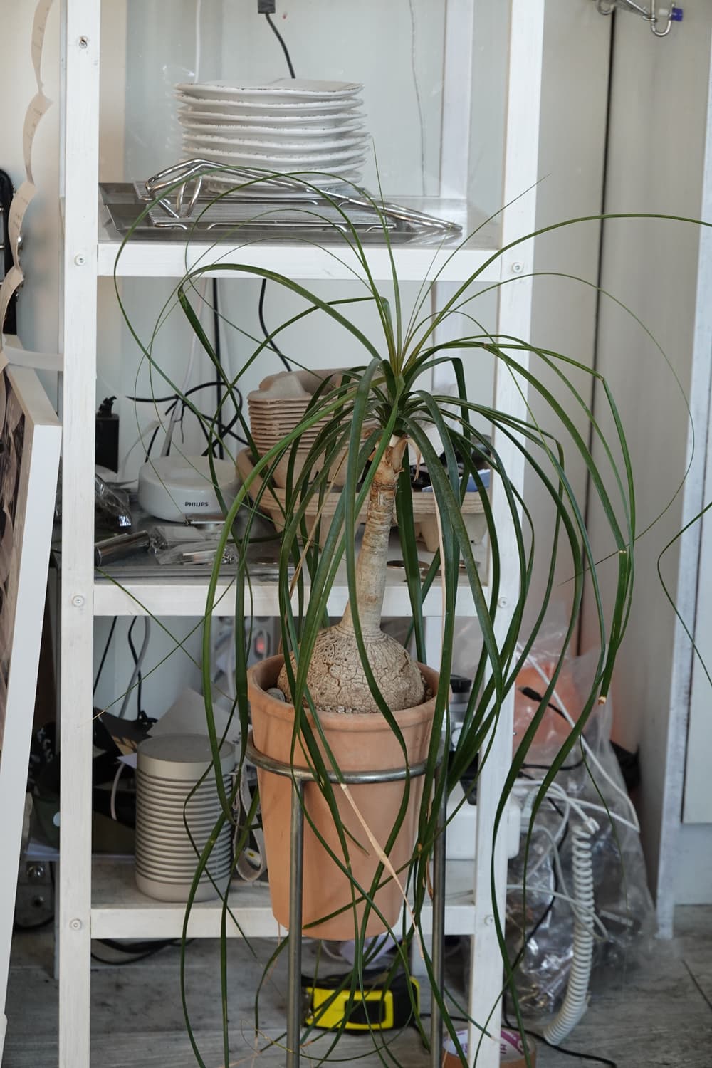 소니 rx100m6 판매합니다 상품이미지7