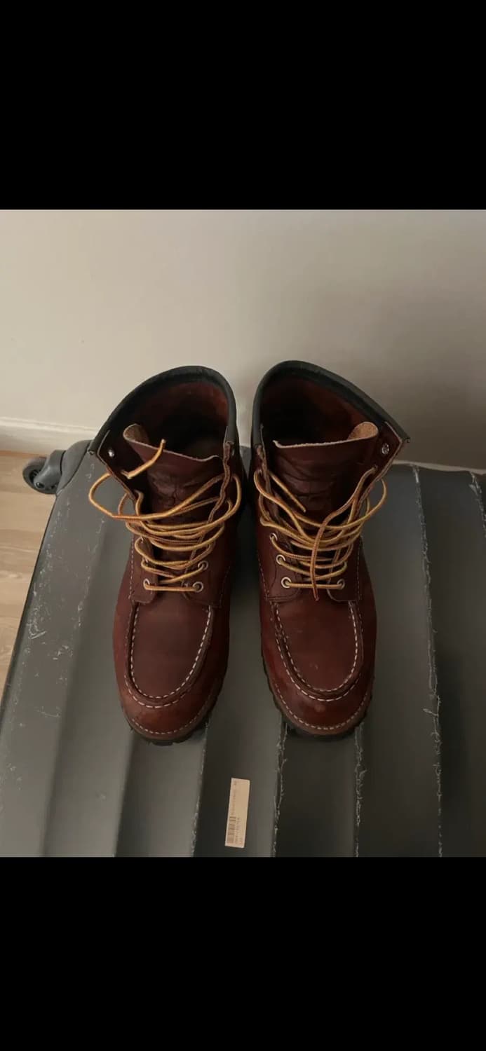 레드윙8146 상품이미지1