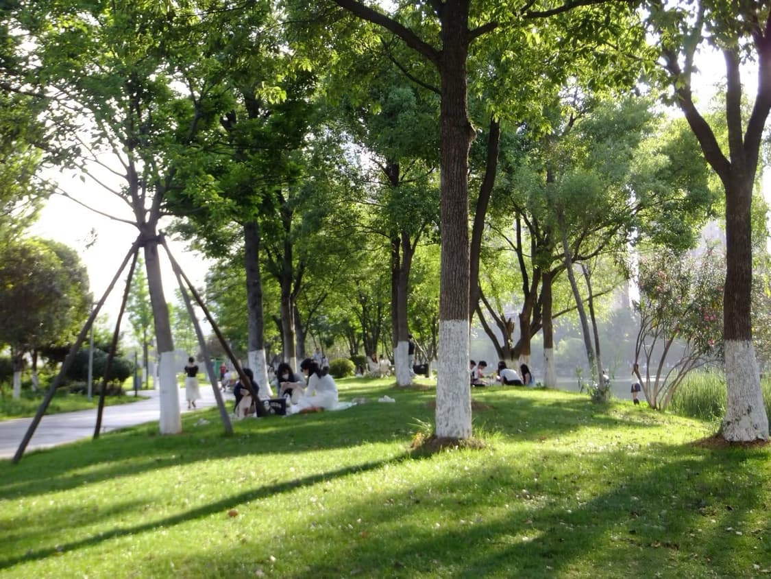 [*민트급풀박!⚡️/작례⭕️] 후지필름 파인픽스 Z900EXR 카메라 상품이미지10