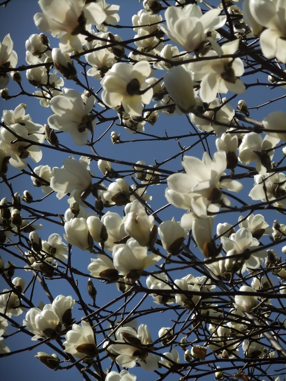 본문필독)후지필름 파인픽스 F80EXR 핑크 상품이미지6