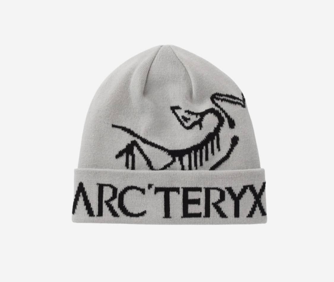 아크테릭스 비니 상품이미지1