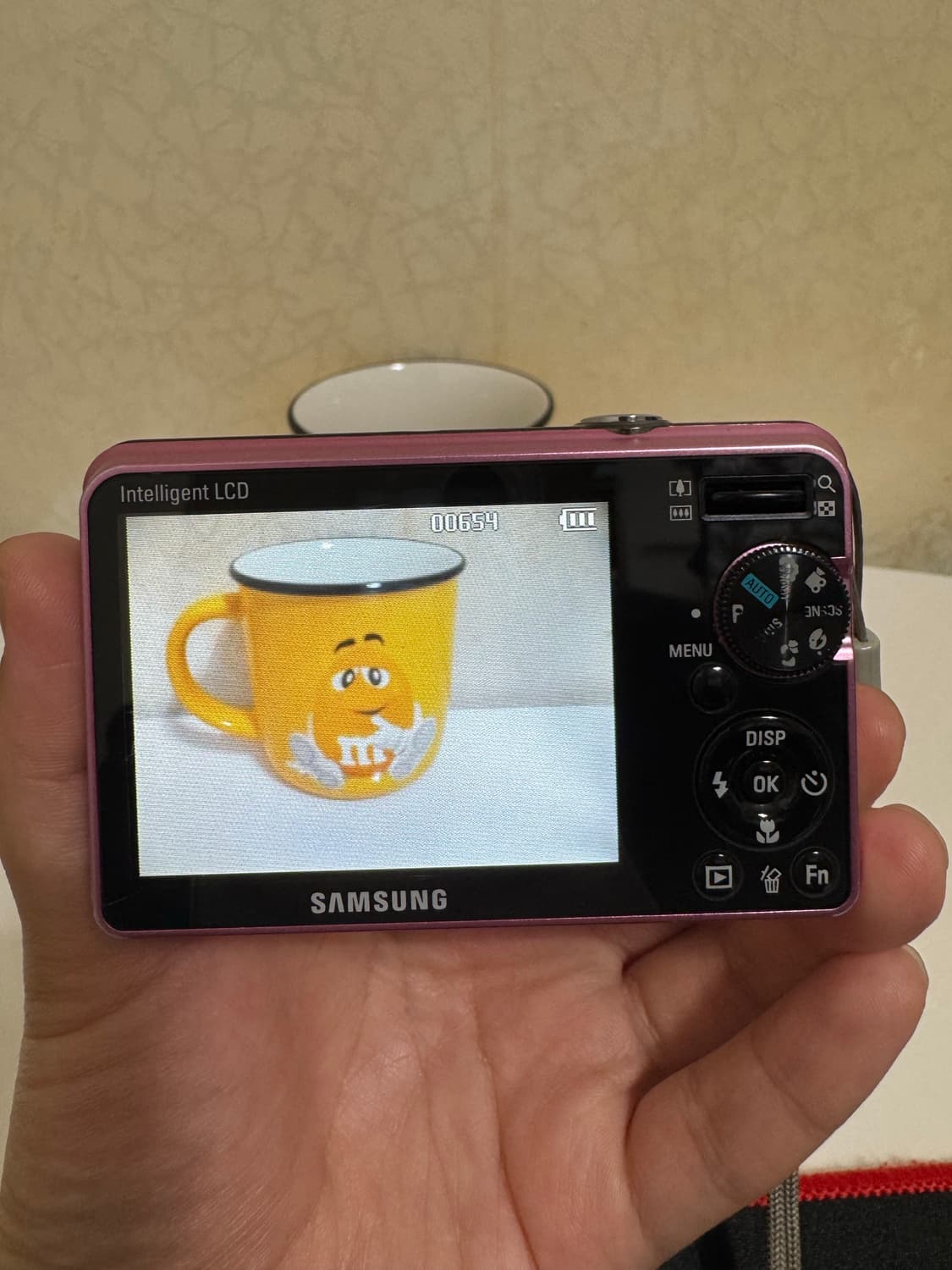 삼성 VLUU PL50 디카 상품이미지2