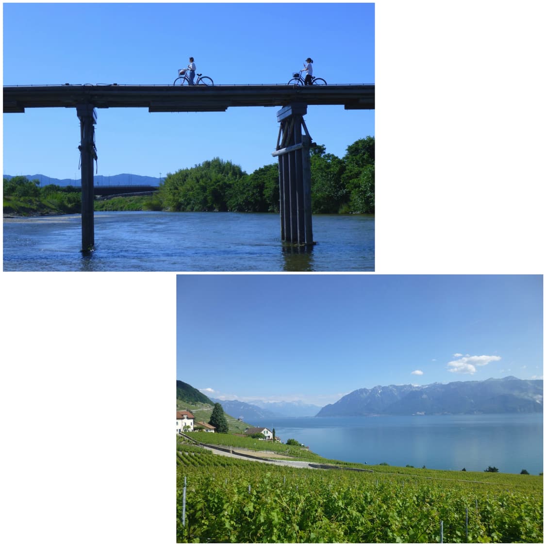 파나소닉 루믹스 SZ8 베이비핑크 빈티지디카 상품이미지2