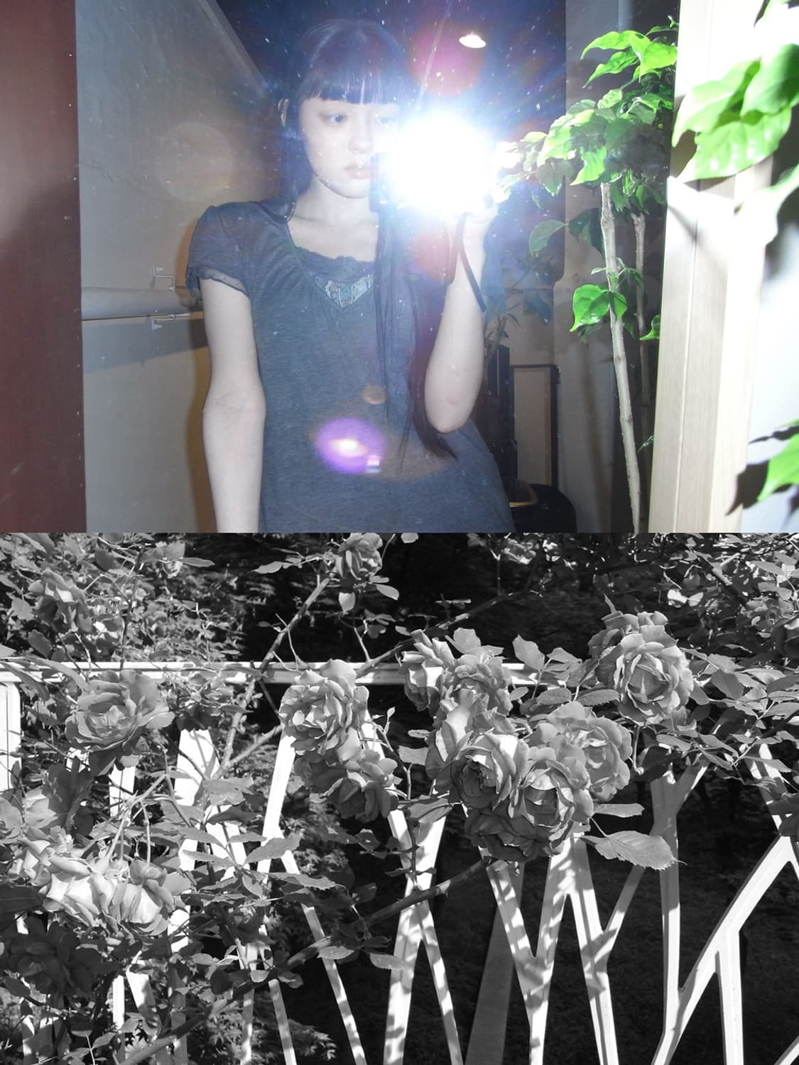 🧘🏻‍♀️ 리코 R8 🧘🏻‍♀️ 빈티지 디카 상품이미지7