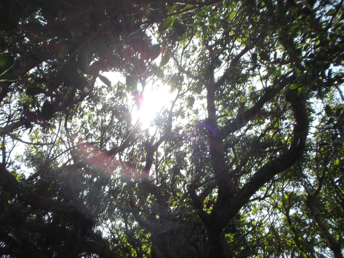 FUJIFILM FinePix JX490 상품이미지7