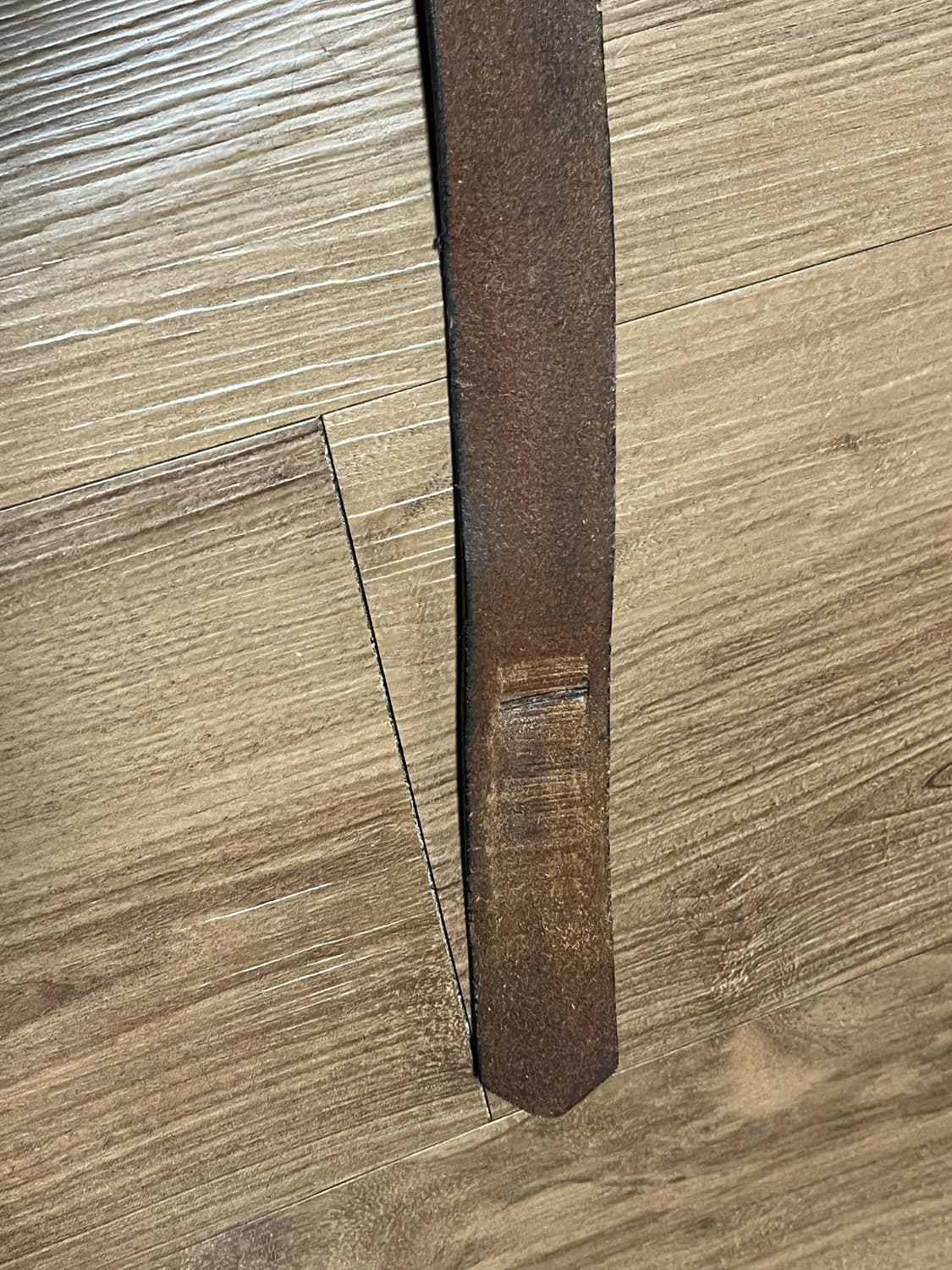 AMA 1942 Gypsy Tour Hickok Buckle 상품이미지4