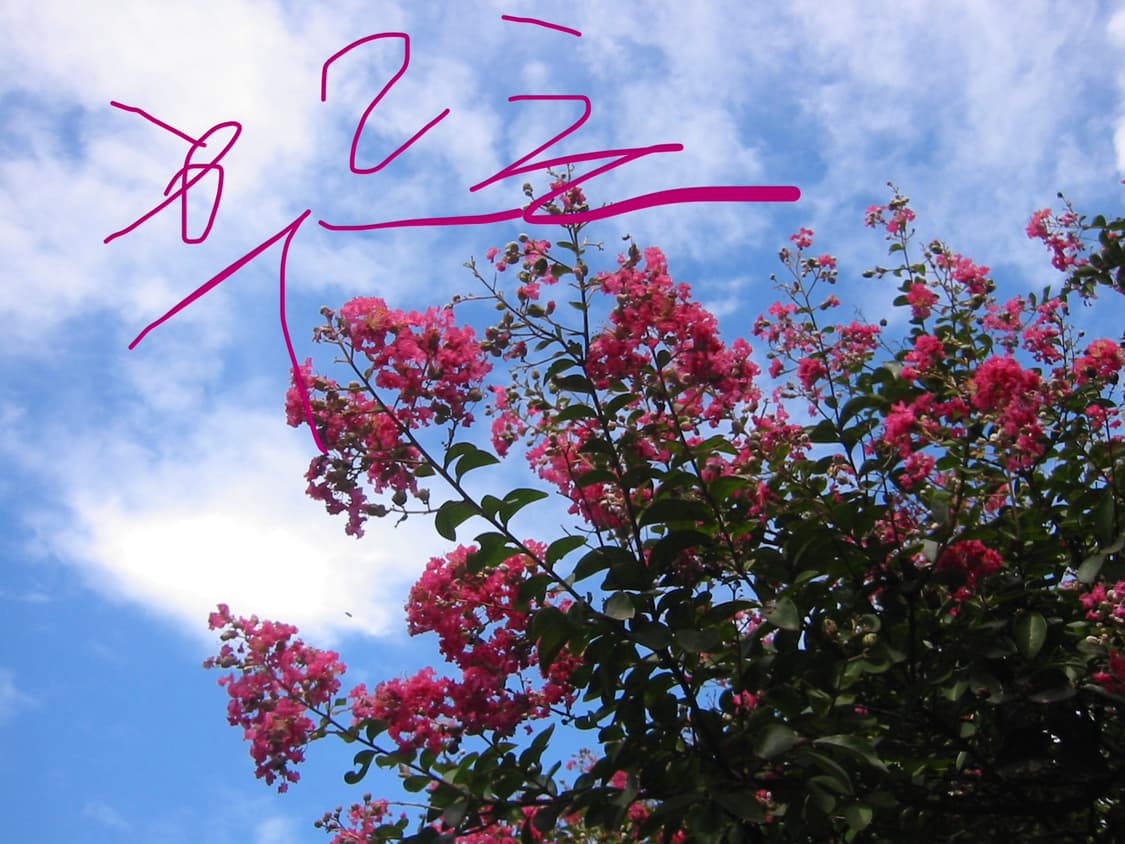 캐논 익서스 IXUS V2 상품이미지8