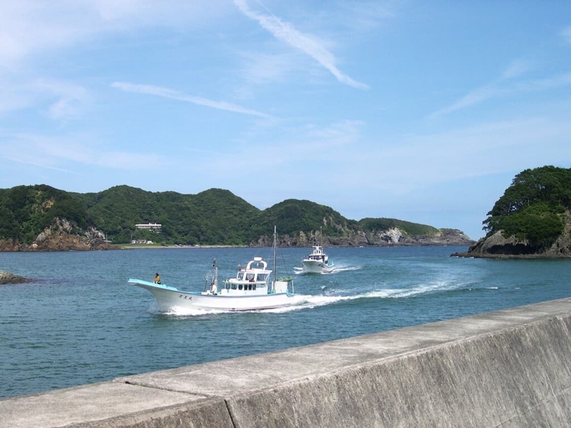 니콘 Nikon Coolpix 4300 블랙 상품이미지2