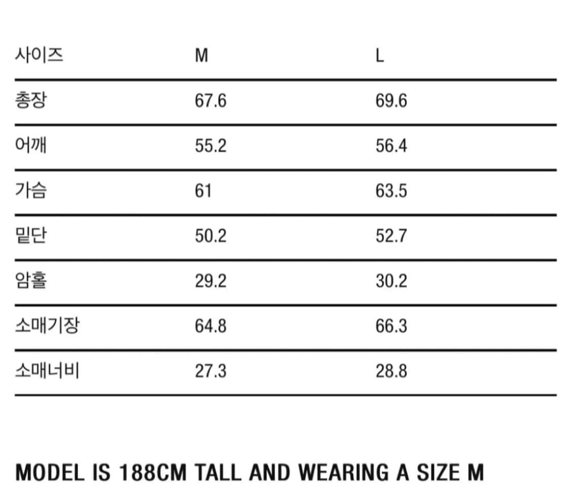 아모멘토 스트라이프 자켓 l 105 110  상품이미지4