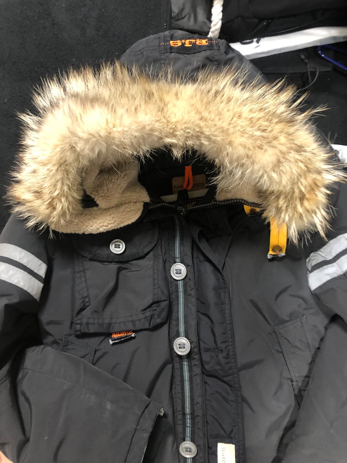 파라점퍼스 트라이브 한정판 매우급처.. M size 상품이미지5