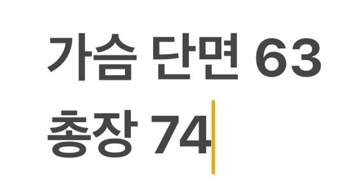 [정품/2XL] 토트넘 홋스퍼 숏-위너 에디션 남성 패딩 b17 상품이미지10