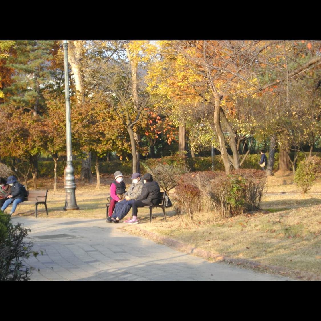 작례⭕️ 히타치 HDC-1241 + 박스  메탈릭 실버✨ 상품이미지9