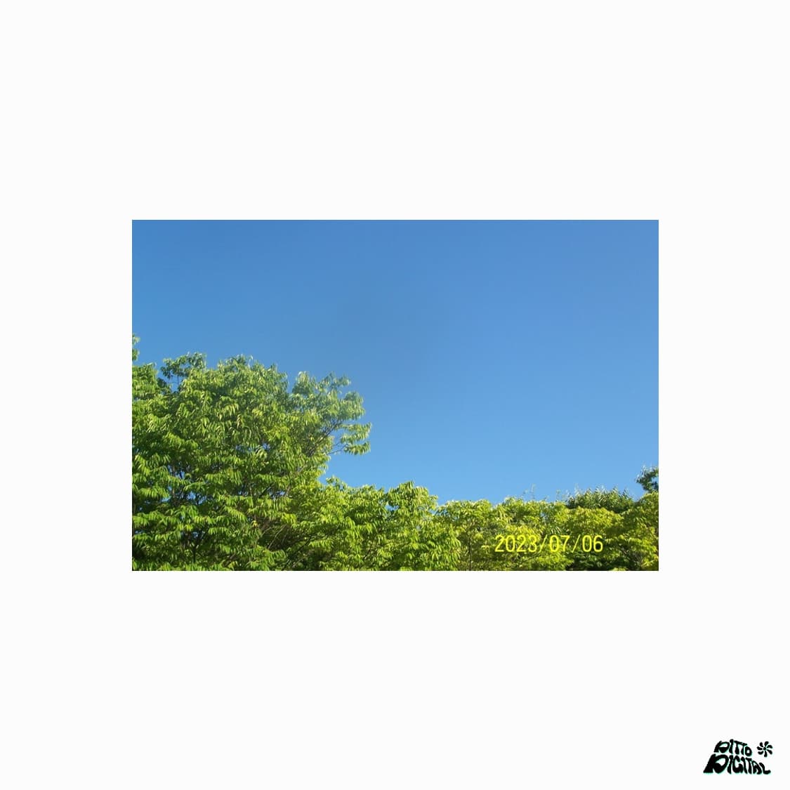 Kodak easyshare C603 디카 상품이미지8