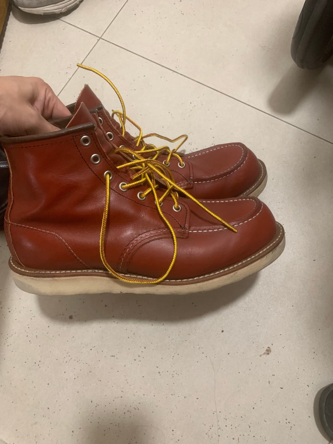 레드윙 8875 9e 아이리쉬세터 상품이미지2