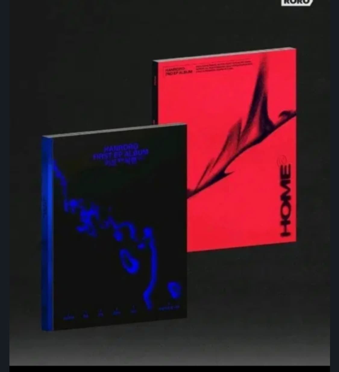 한로로 이상비행 집 cd 상품이미지1