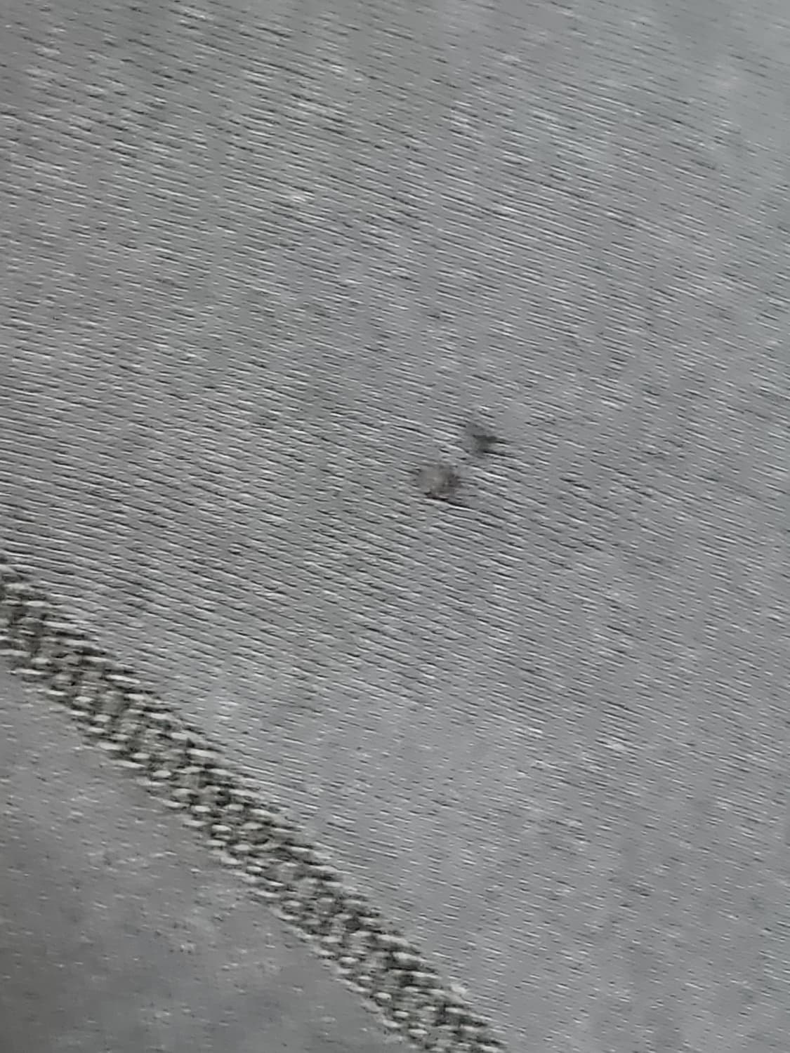 크롬하츠 올드 ch 플러스 후드집업 m 상품이미지7